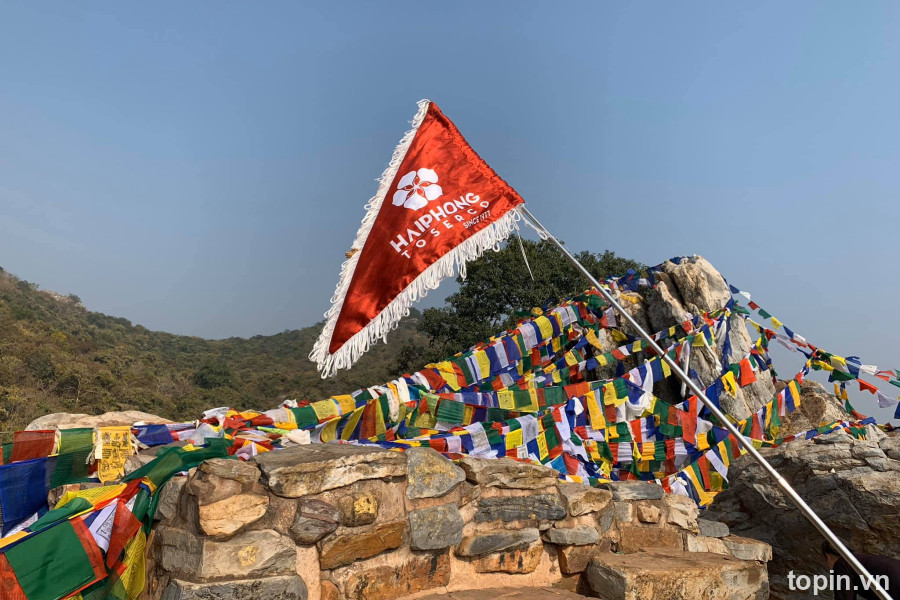 Hải Phòng Toserco