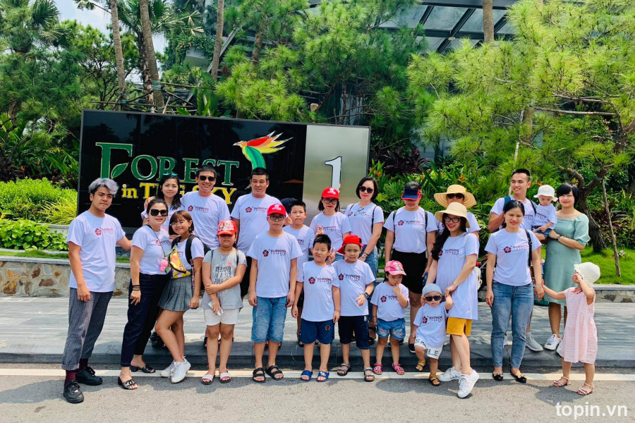Hải Phòng Toserco