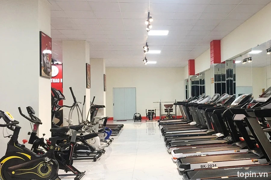 Kingsport Hải Phòng