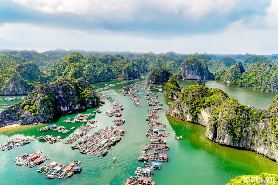 Trung Tâm Lữ Hành Quốc Tế Hải Đăng