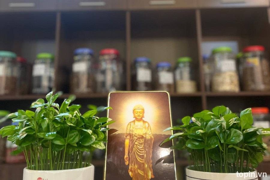 Phòng Khám Đông Y Phượng Hoàng Sơn