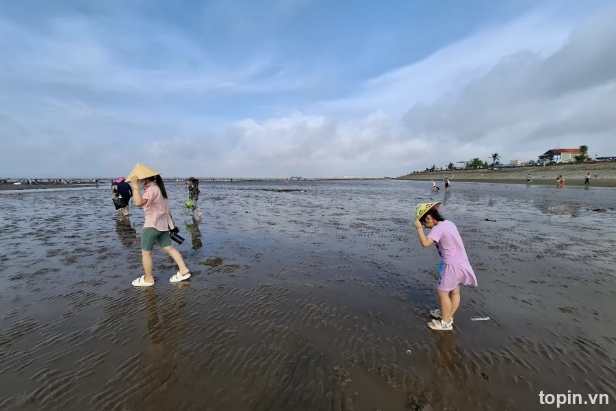 Bãi Biển Hoàng Châu