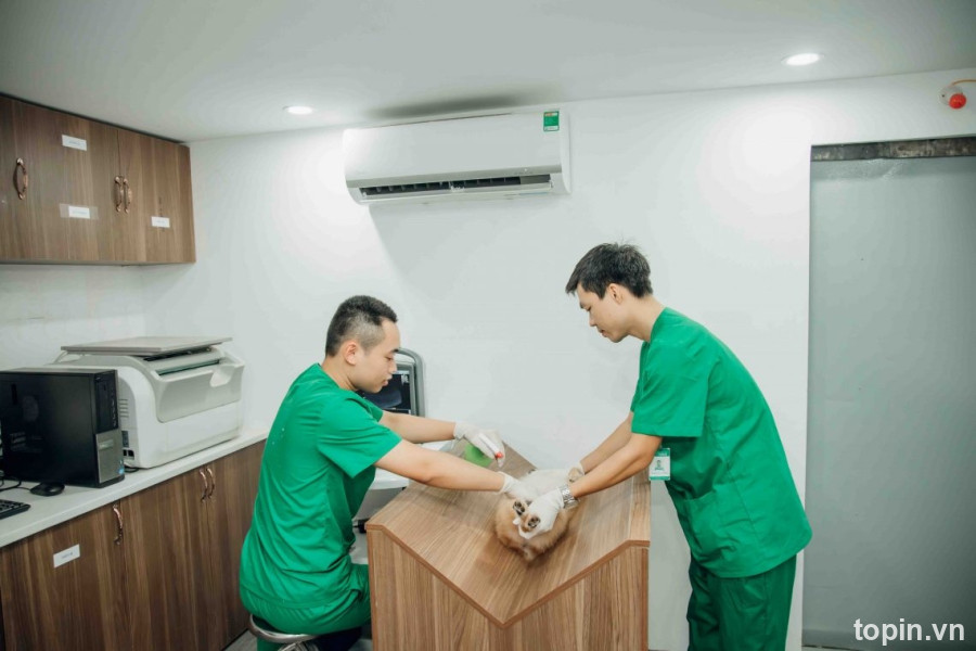 Bệnh Viện Thú Y Pethealth Hải Phòng