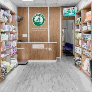 Bệnh Viện Thú Y Pethealth Hải Phòng