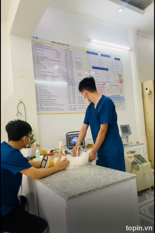 Bệnh Viện Thú Y Vpet