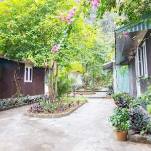 Cat Ba Countryside Homestay