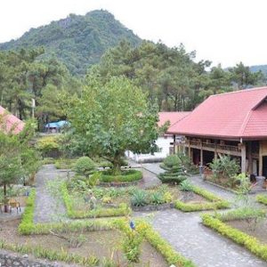 Cát Bà Eco Lodge