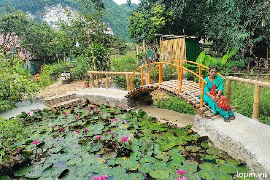Cát Bà Park Homestay