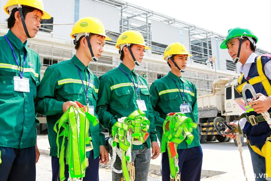 Công Ty TNHH Đầu Tư Thương Mại Và Dịch Vụ Nguyễn Thế