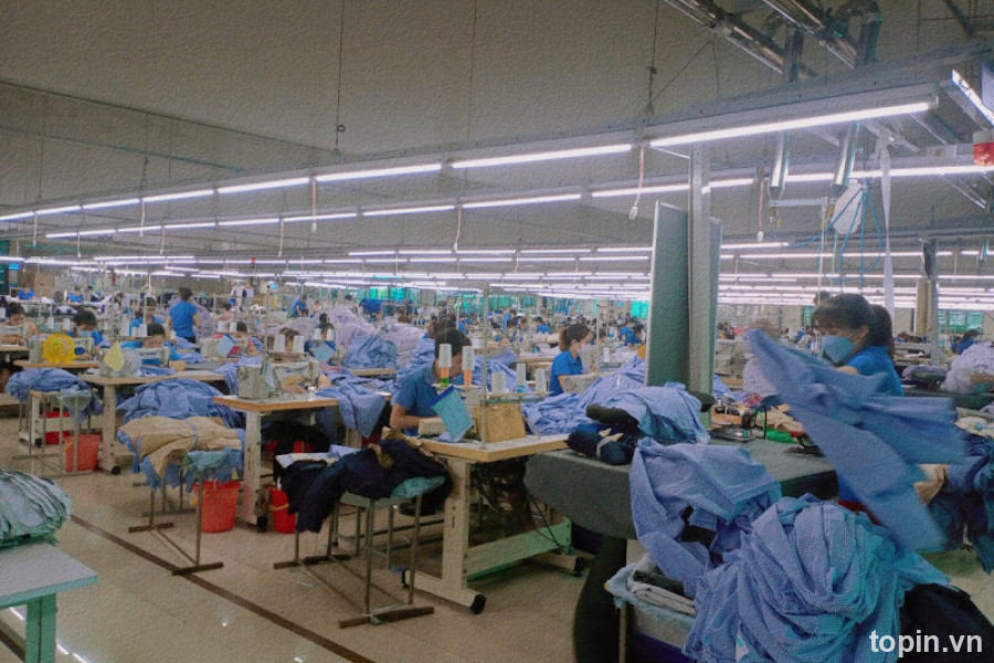 Công Ty TNHH Thương Mại Sao Mai