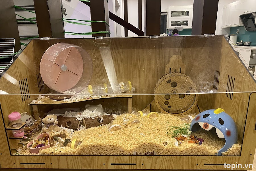 Home Pet’s