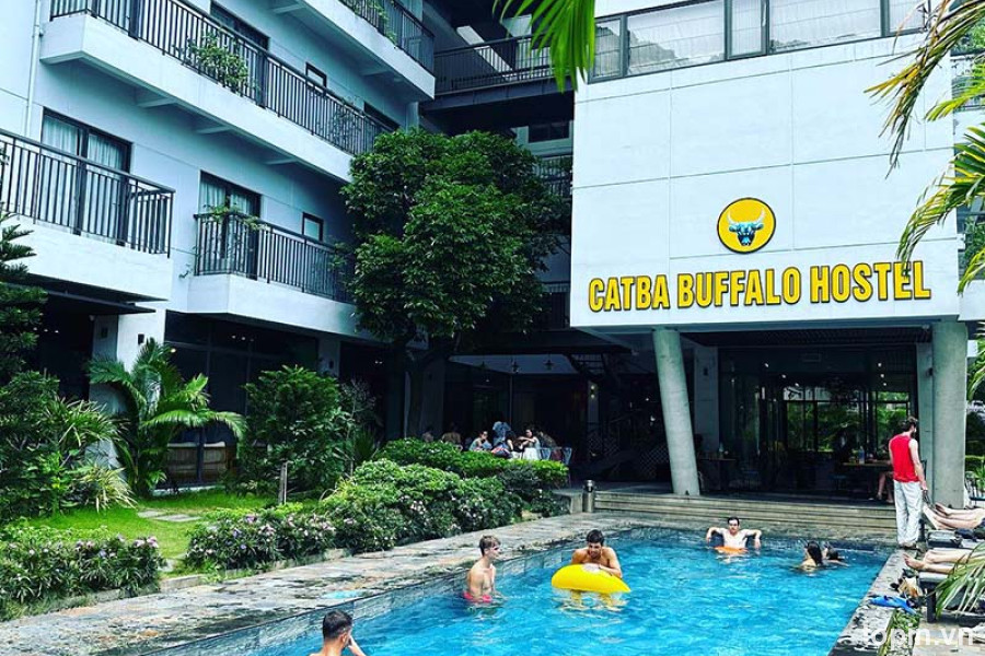 Nhà Nghỉ Cát Bà Buffalo