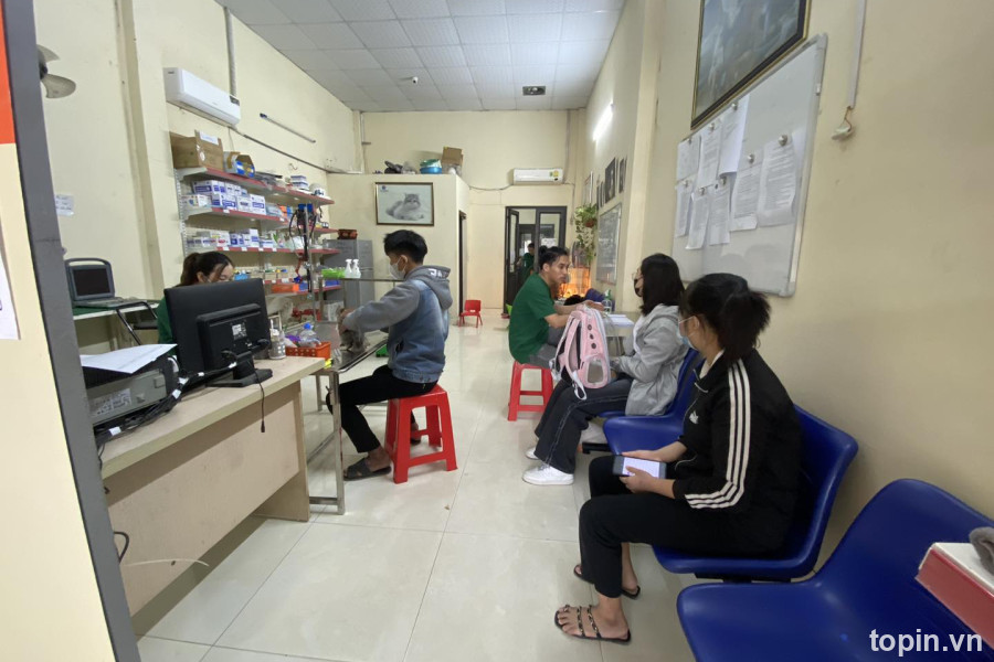 Saovet Hải Phòng