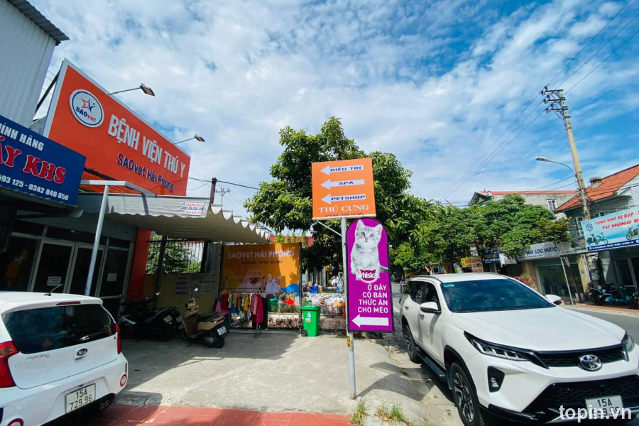 Saovet Hải Phòng