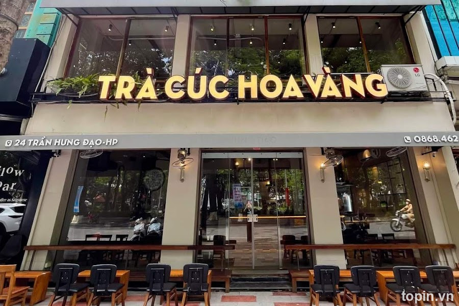 Trà Cúc Hoa Vàng
