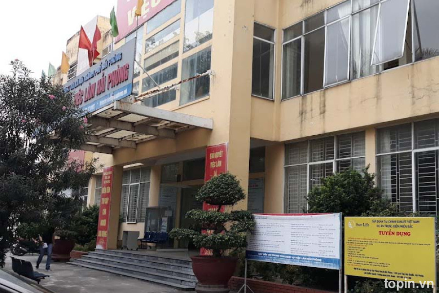 Trung Tâm Dịch Vụ Việc Làm Hải Phòng