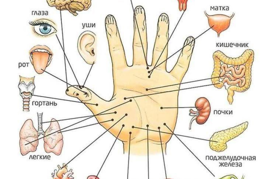 Trung tâm YHCT Tâm Y Đức