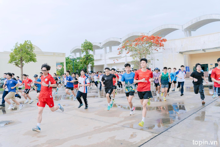Trường Đại Học Hải Phòng